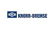 Knorr